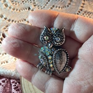AB Crystal Owl Brooch w/ Silvertone Finish & Textured Body